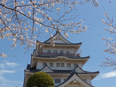 千葉城と桜