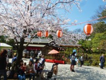 千葉城「さくら祭り」